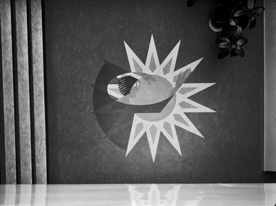 87195 Afbeelding van de in acht verschillende kleuren linoleum uitgevoerde intarsia (vloermozaïek), voorstellende de ...